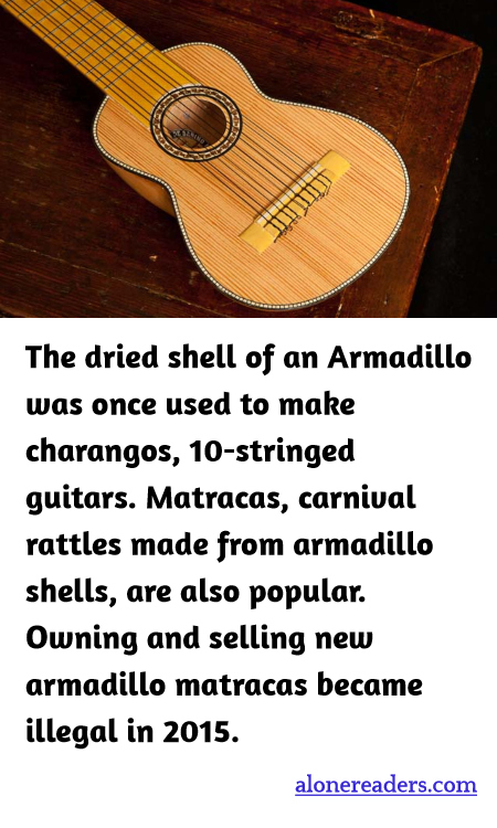 General Knowledge Learning Cards