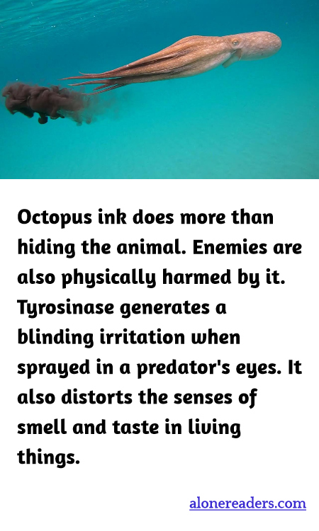 General Knowledge Learning Cards