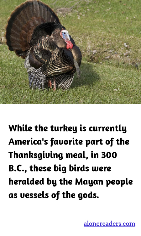 While the turkey is currently America's favorite part of the Thanksgiving meal, in 300 B.C., these big birds were heralded by the Mayan people as vessels of the gods.