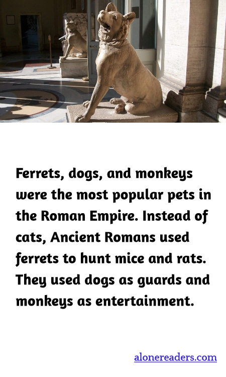 General Knowledge Learning Cards