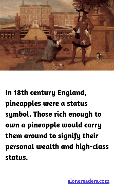 General Knowledge Learning Cards