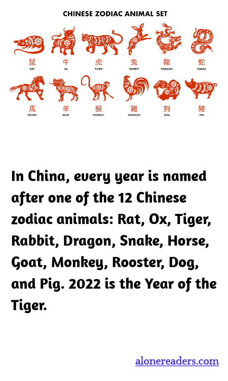 General Knowledge Learning Cards