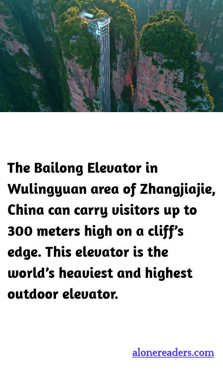 General Knowledge Learning Cards