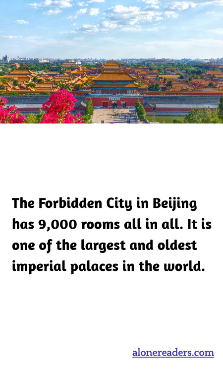 General Knowledge Learning Cards