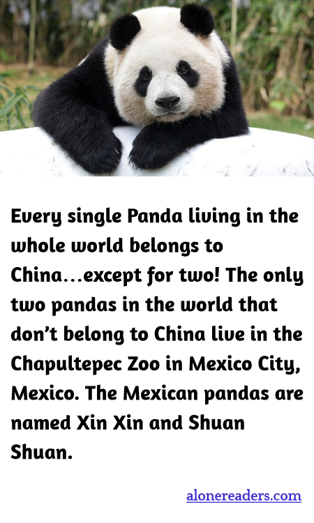 General Knowledge Learning Cards