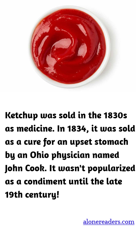 General Knowledge Learning Cards