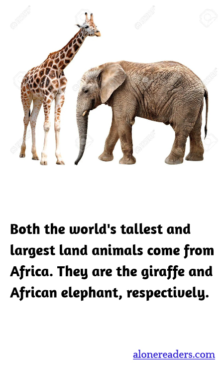 General Knowledge Learning Cards