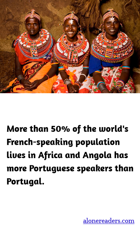 General Knowledge Learning Cards