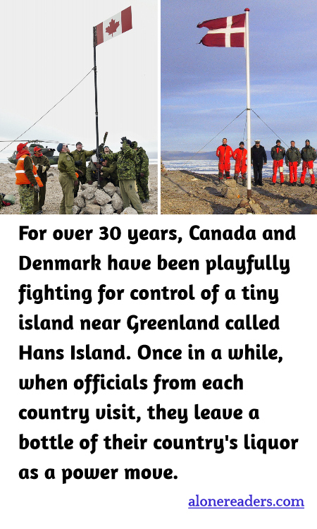 General Knowledge Learning Cards