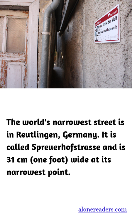 General Knowledge Learning Cards