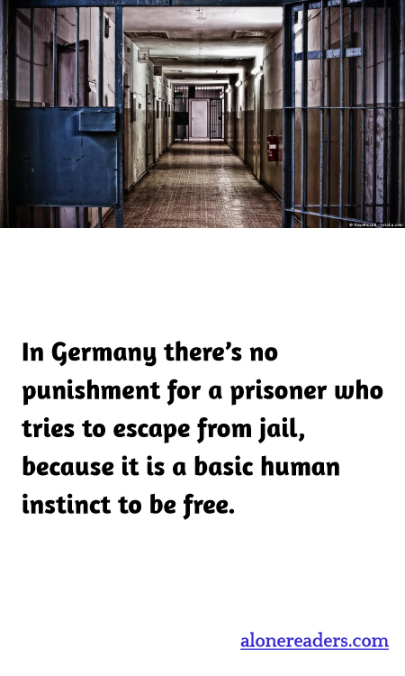 General Knowledge Learning Cards