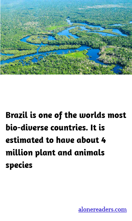 General Knowledge Learning Cards