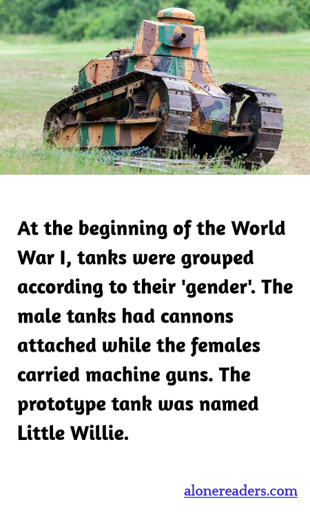 General Knowledge Learning Cards