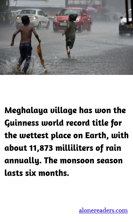 General Knowledge Learning Cards