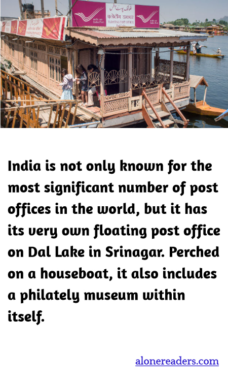 General Knowledge Learning Cards