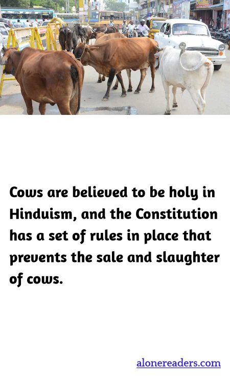 General Knowledge Learning Cards