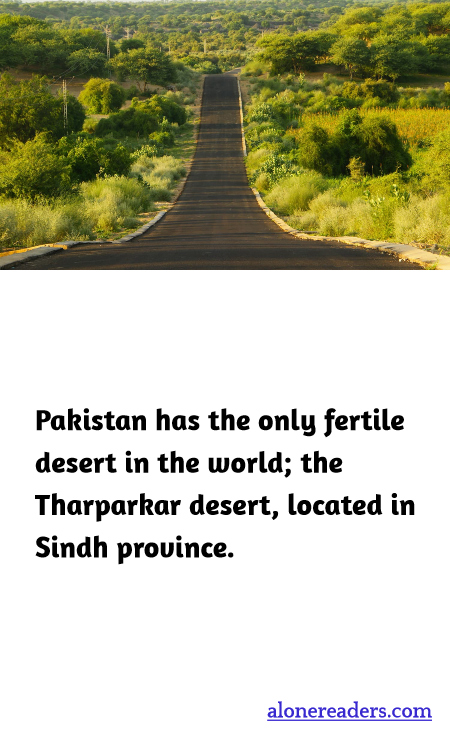 General Knowledge Learning Cards