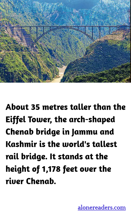 General Knowledge Learning Cards