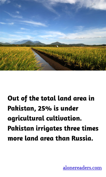 General Knowledge Learning Cards