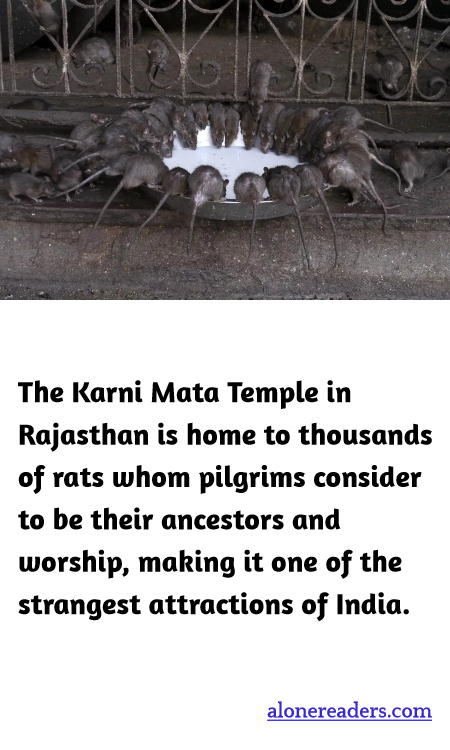 General Knowledge Learning Cards