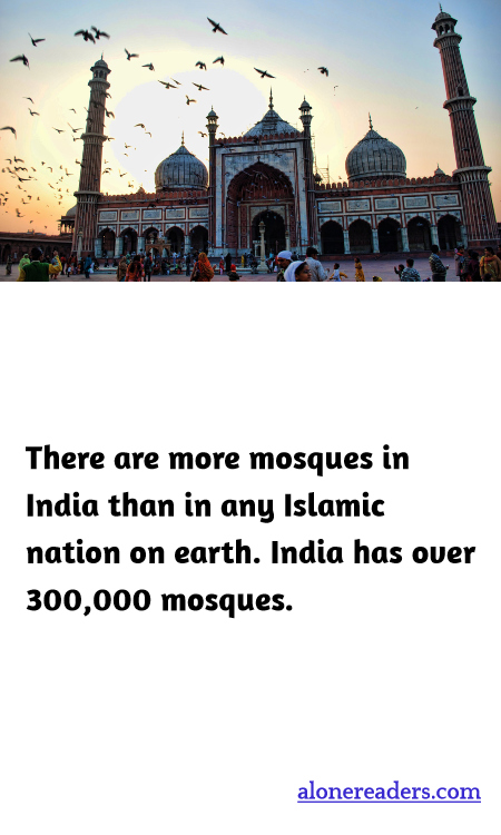 General Knowledge Learning Cards