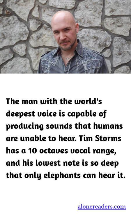 General Knowledge Learning Cards