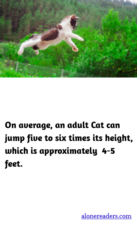 General Knowledge Learning Cards