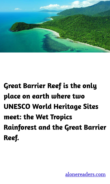 General Knowledge Learning Cards