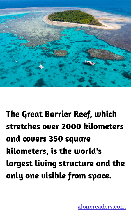 General Knowledge Learning Cards