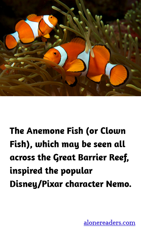 General Knowledge Learning Cards