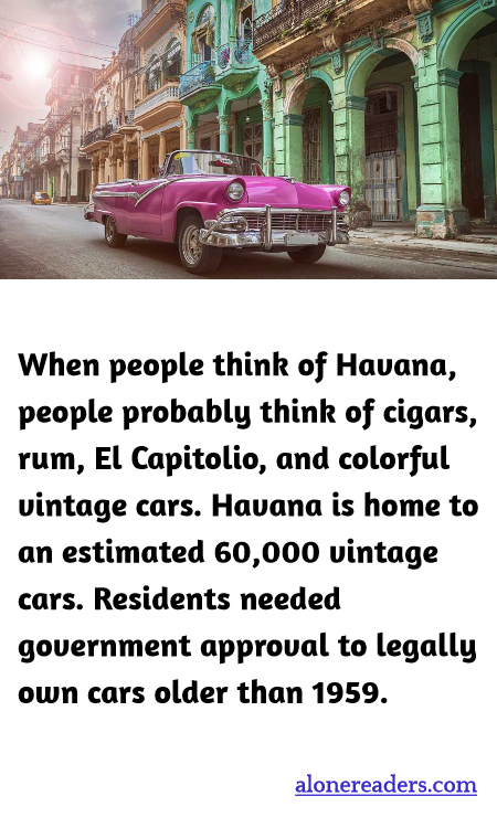 General Knowledge Learning Cards