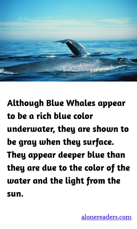 General Knowledge Learning Cards