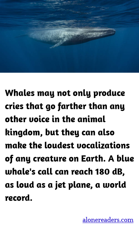 General Knowledge Learning Cards