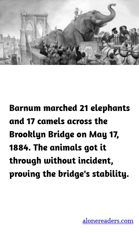 General Knowledge Learning Cards