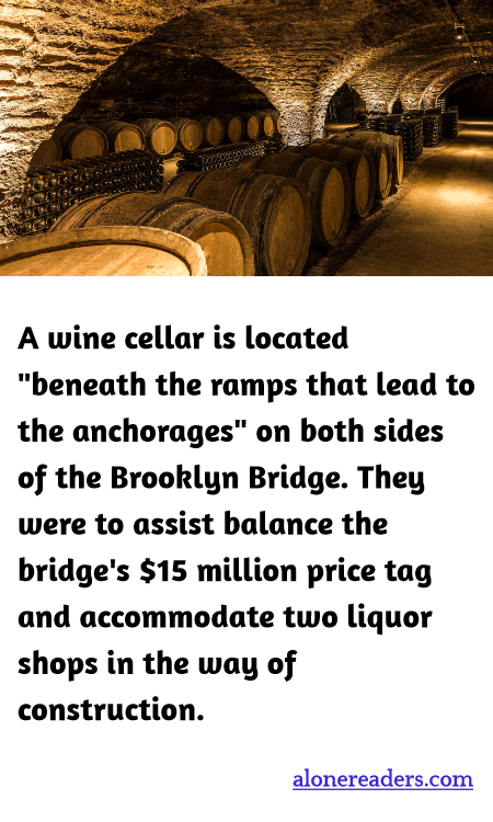 General Knowledge Learning Cards