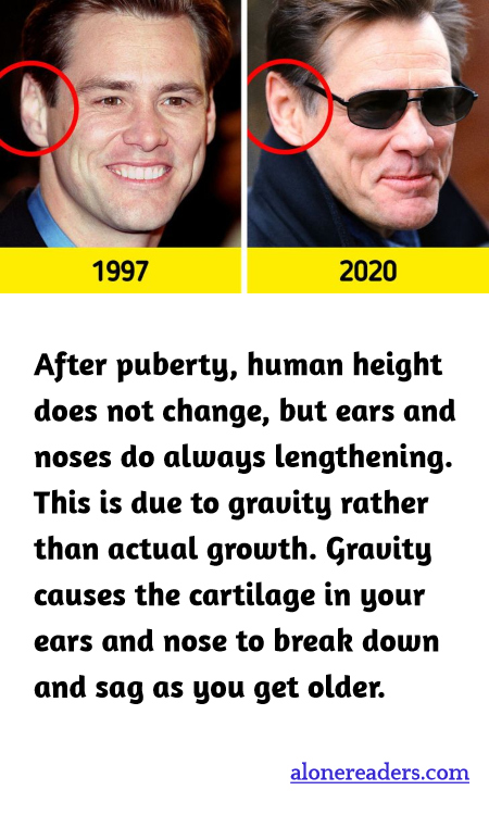 General Knowledge Learning Cards