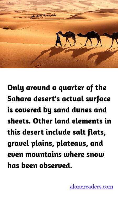 Only around a quarter of the Sahara desert's actual surface is covered by sand dunes and sheets. Other land elements in this desert include salt flats, gravel plains, plateaus, and even mountains where snow has been observed.