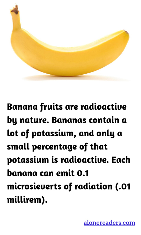 Banana fruits are radioactive by nature. Bananas contain a lot of potassium, and only a small percentage of that potassium is radioactive. Each banana can emit 0.1 microsieverts of radiation (.01 millirem).