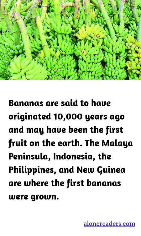 Bananas are said to have originated 10,000 years ago and may have been the first fruit on the earth. The Malaya Peninsula, Indonesia, the Philippines, and New Guinea are where the first bananas were grown.