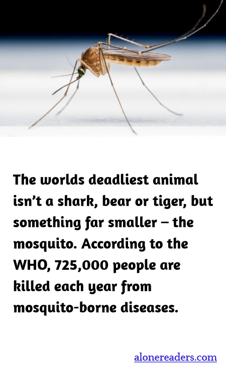 General Knowledge Learning Cards