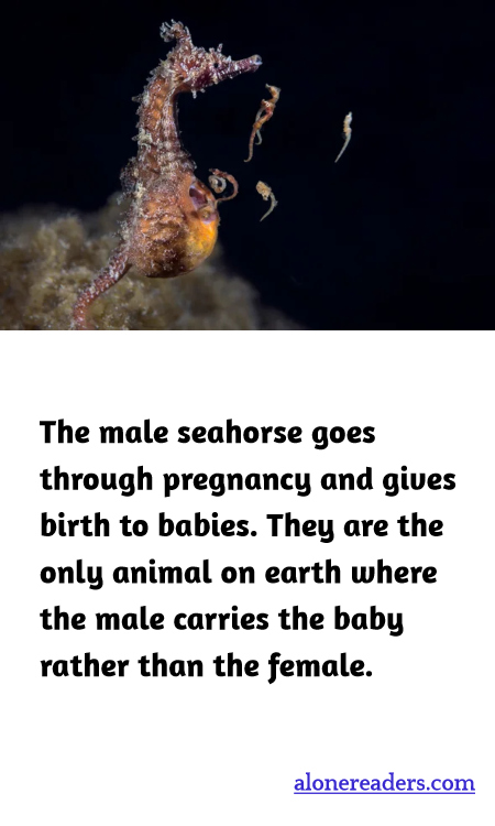 General Knowledge Learning Cards