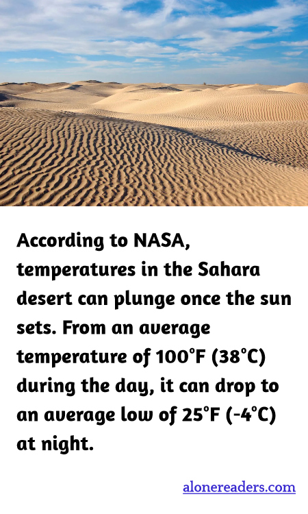 General Knowledge Learning Cards