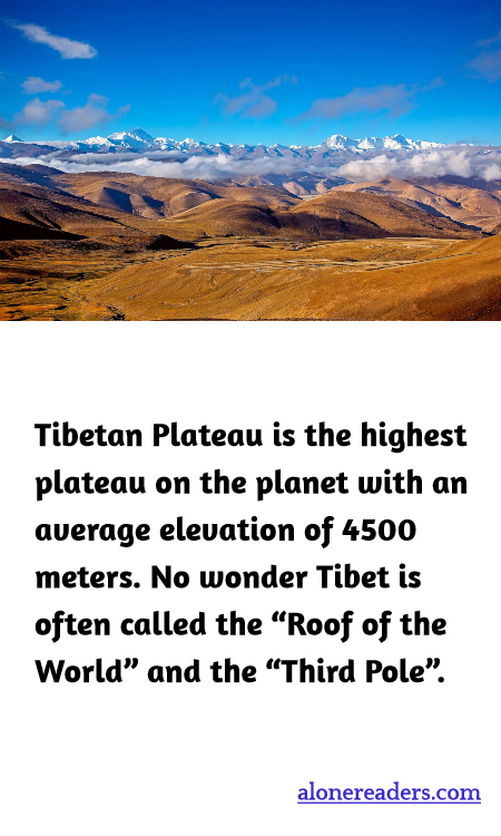 General Knowledge Learning Cards