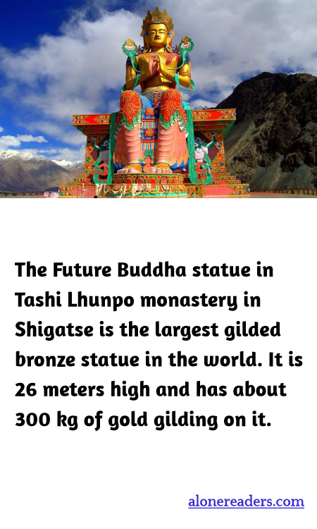 General Knowledge Learning Cards