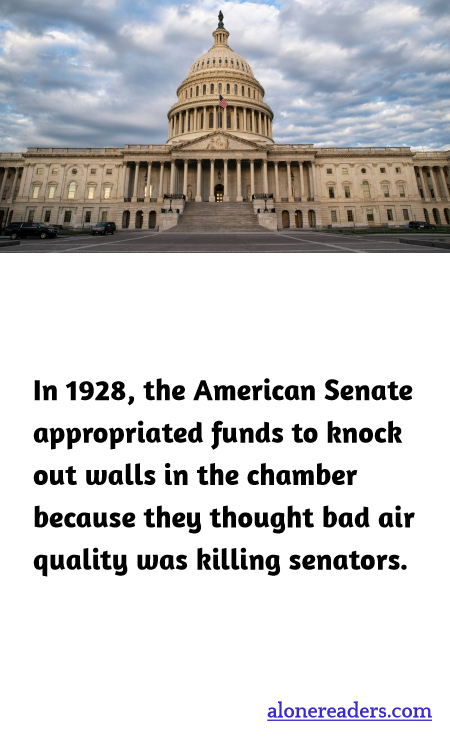 General Knowledge Learning Cards