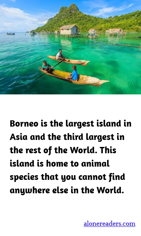 General Knowledge Learning Cards