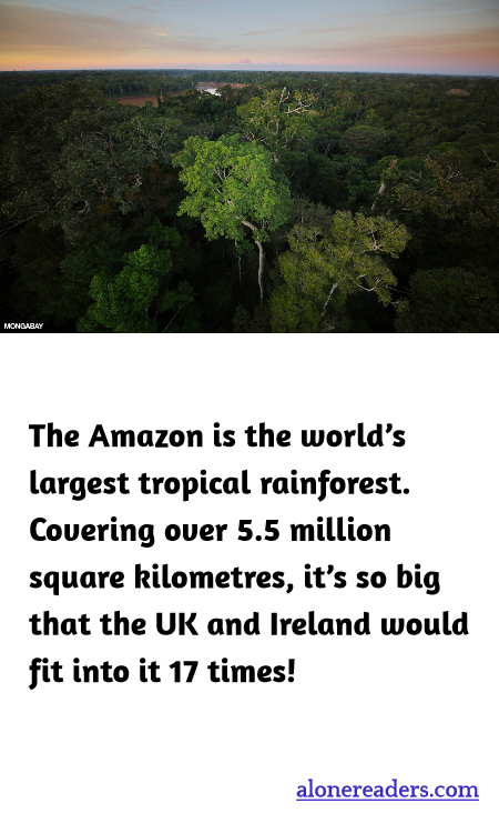 The Amazon is the world’s largest tropical rainforest. Covering over 5.5 million square kilometres, it’s so big that the UK and Ireland would fit into it 17 times!