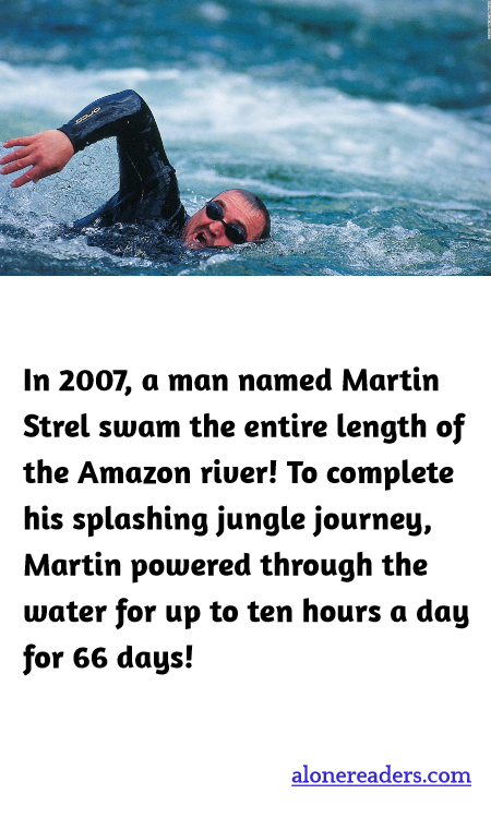 In 2007, a man named Martin Strel swam the entire length of the Amazon river! To complete his splashing jungle journey, Martin powered through the water for up to ten hours a day for 66 days!