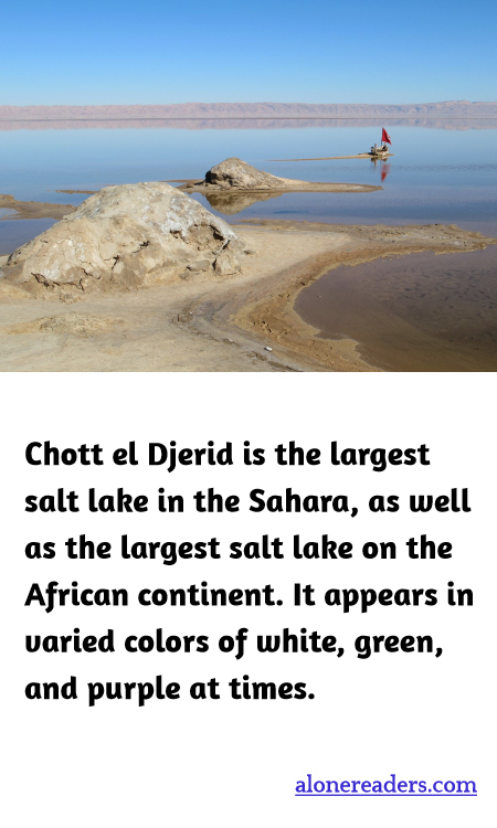 Chott el Djerid is the largest salt lake in the Sahara, as well as the largest salt lake on the African continent. It appears in varied colors of white, green, and purple at times.