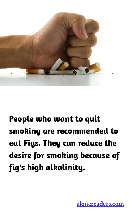 General Knowledge Learning Cards